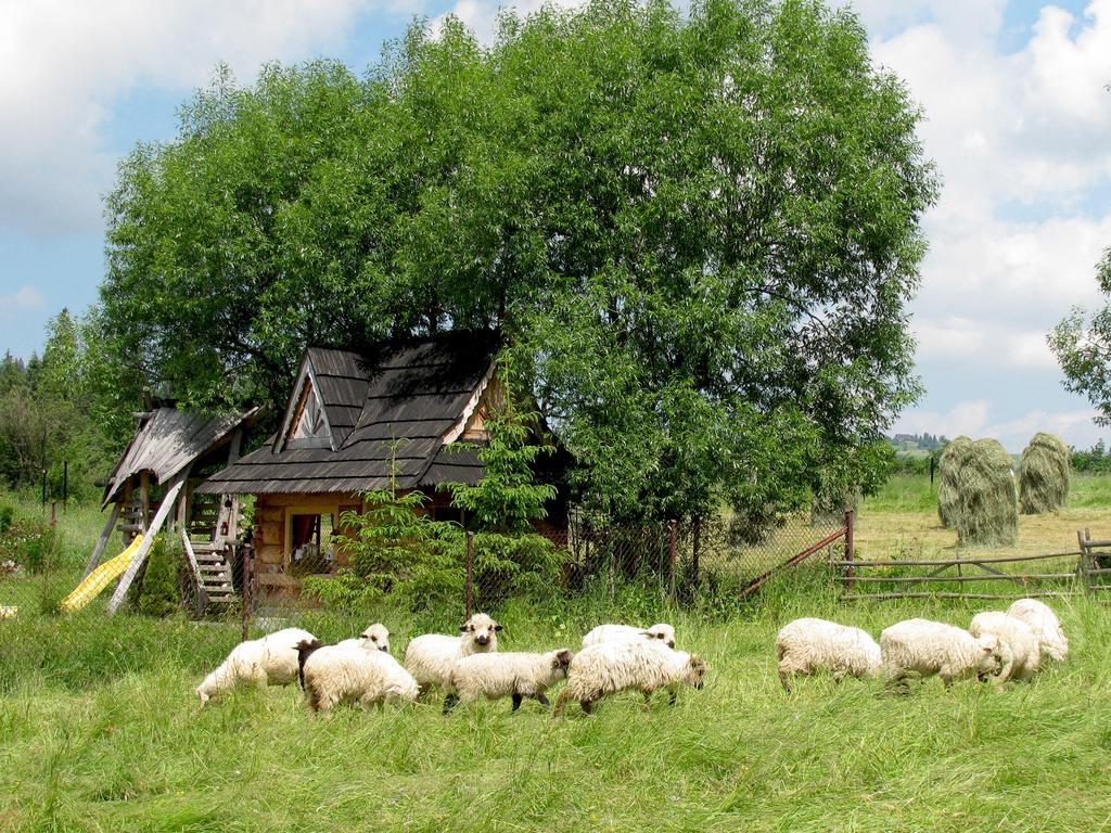 Chalet Luxury Gorsky